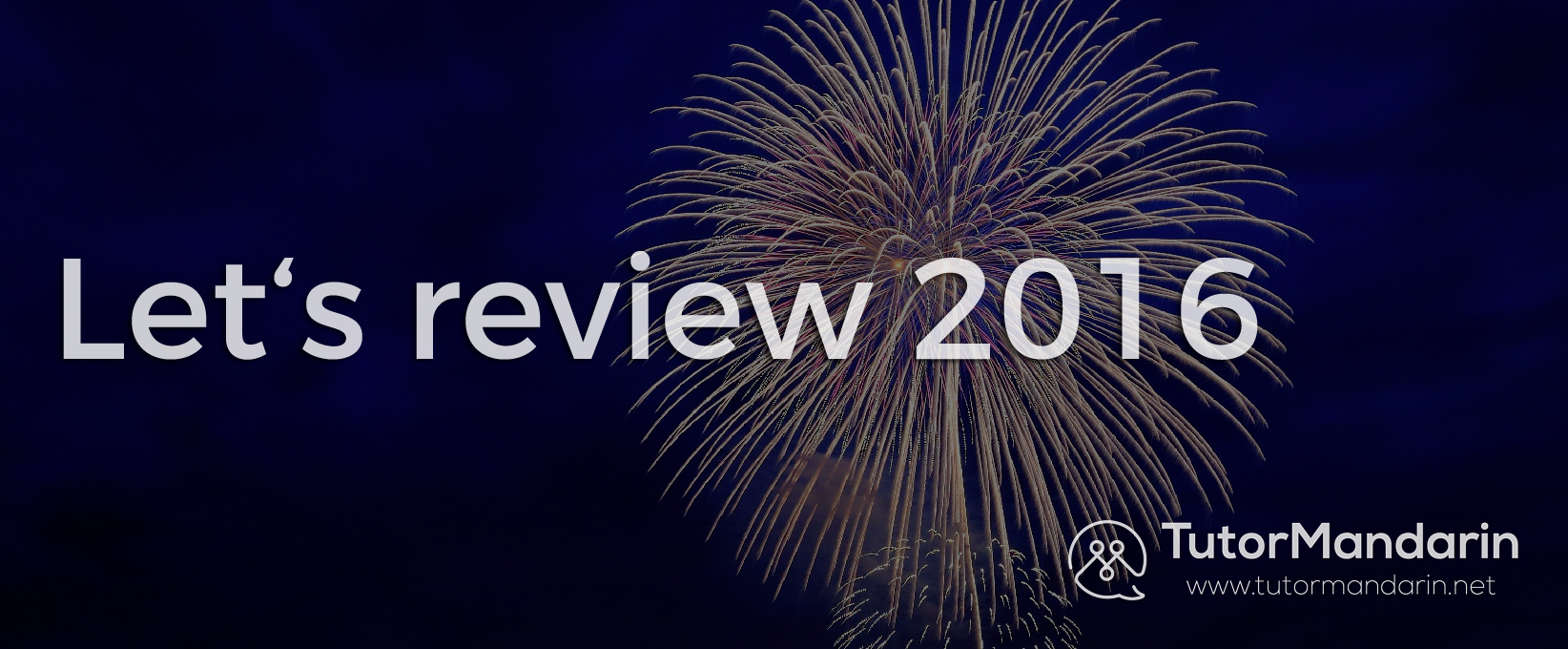 review 2016