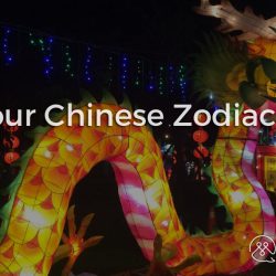 Understanding China - PART 02 - Know your Chinese Zodiac Animals - Blog