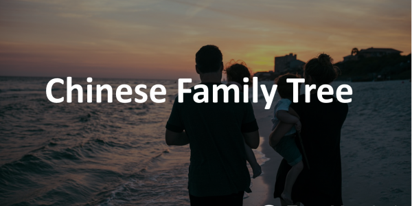 Talk Family tree in Spoken Chinese