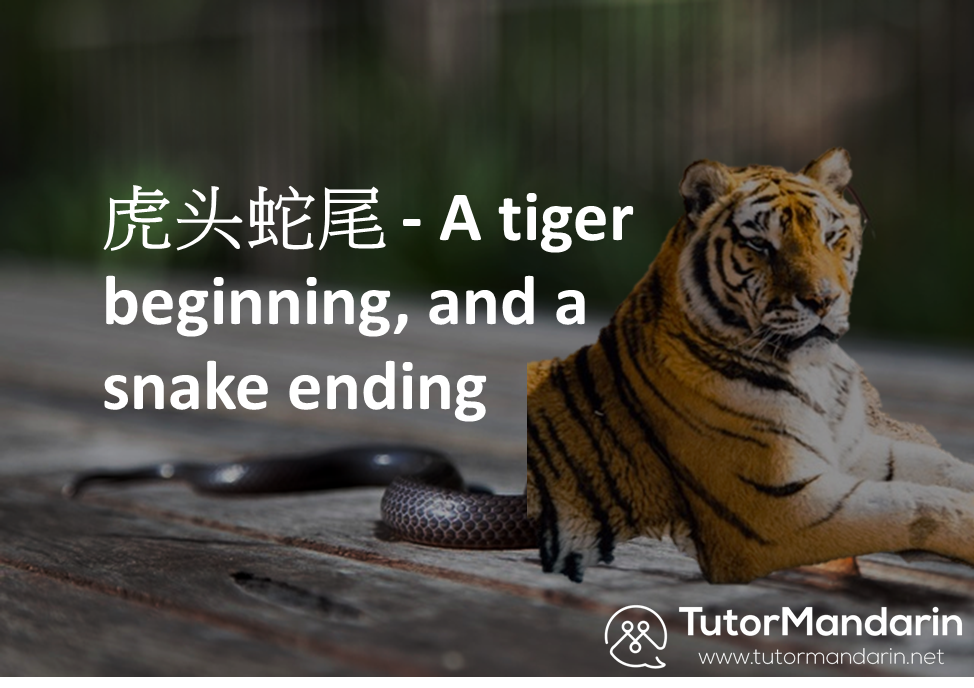 Chinese chengyu about tigers