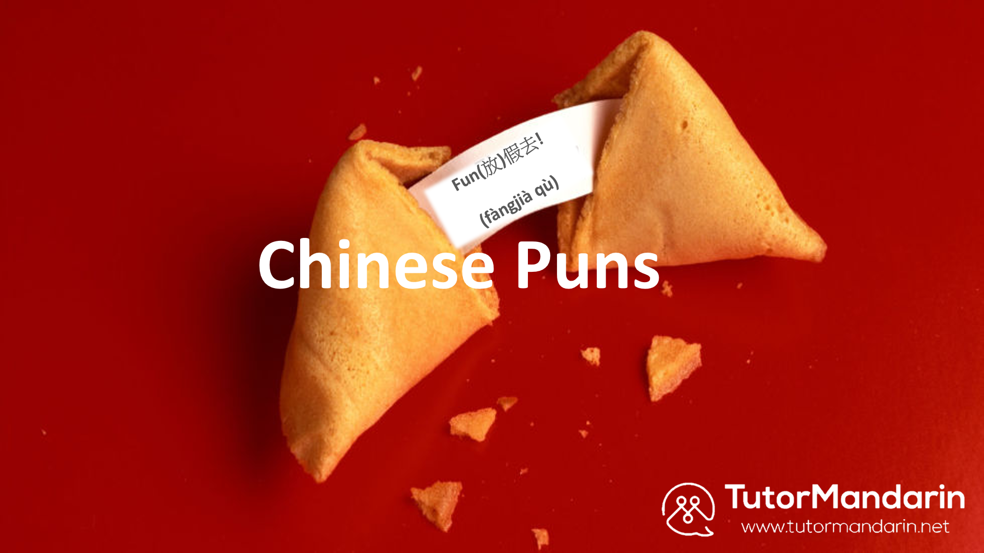 Chinese Puns - 1-on-1 chinese online lesson