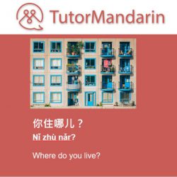 learn chinese daily